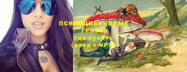 гидра Киреевск
