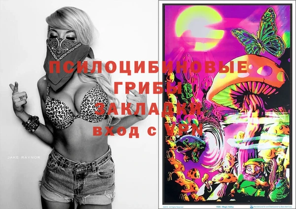 гидра Киреевск