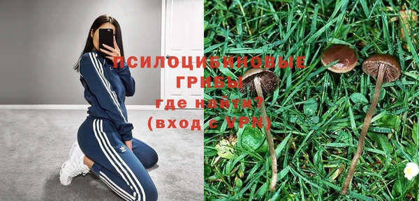 гидра Киреевск