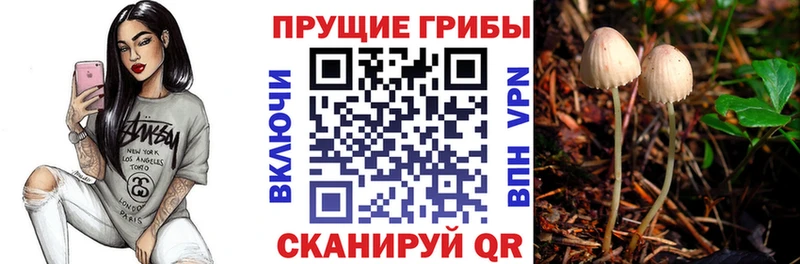 Купить где  Закаменск  Галлюциногенные грибы прущие грибы 